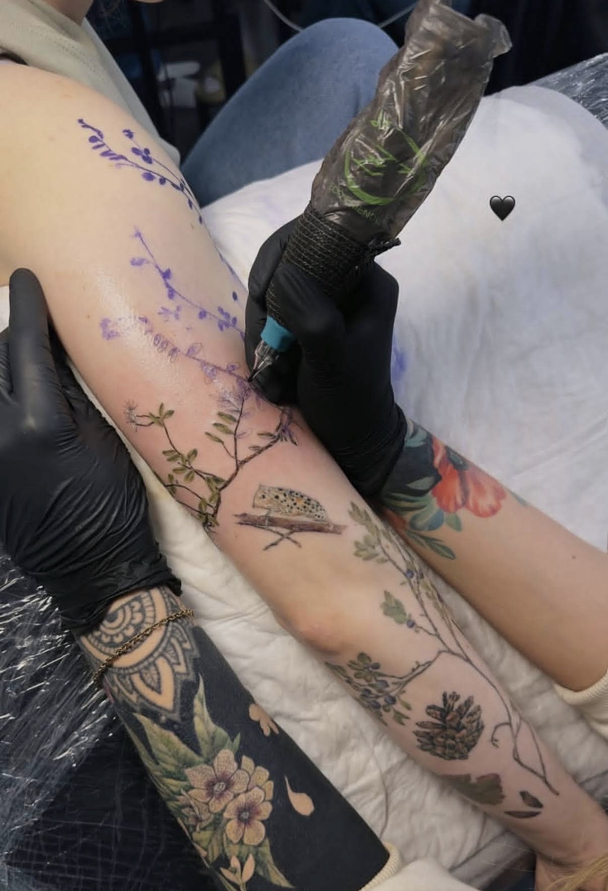 n°47 — branch & small moth · forearm
